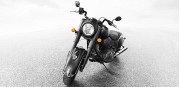 Indian Chief Dark Horse