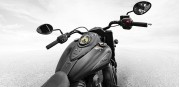 Indian Chief Dark Horse