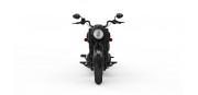 Indian Chief Dark Horse